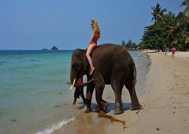 Andaman Honeymoon Diaries 4N&5D 2N Portblair + 2N Havelock 