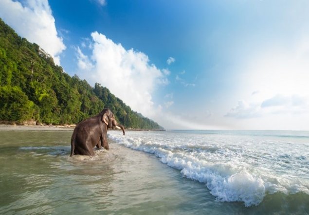 Andaman Offbeat Island Hopping 6N&7D Couple Package 