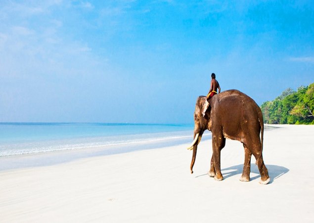 Fall In Love All Over Again In Andaman 5N & 6D Couple Package