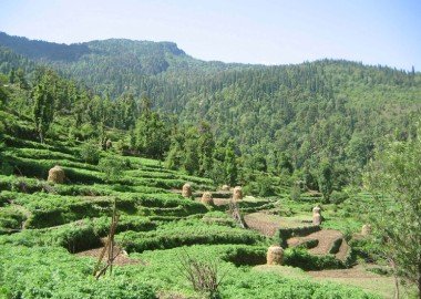 Grand Hills Circuit 07N8D Tour  Package  ( Darjeeling 2N Pelling 2N Gangtok 3N)